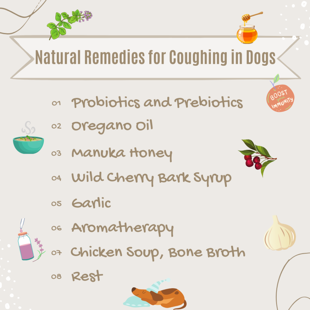Natural Remedies for Coughing in Dogs Naturalistic Hound