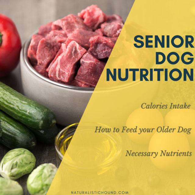 Senior Dog Nutrition Naturalistic Hound