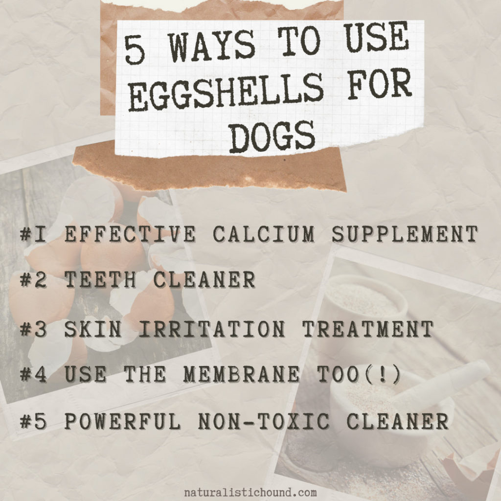 why are egg shells good for dogs