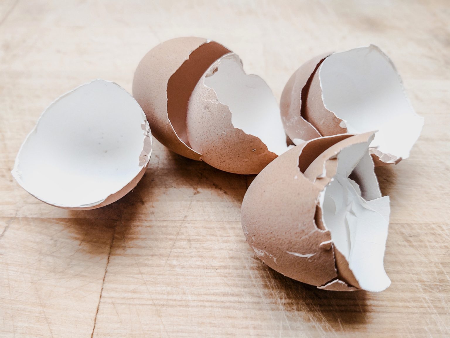 The Many Uses Of Eggshells For Dogs Naturalistic Hound