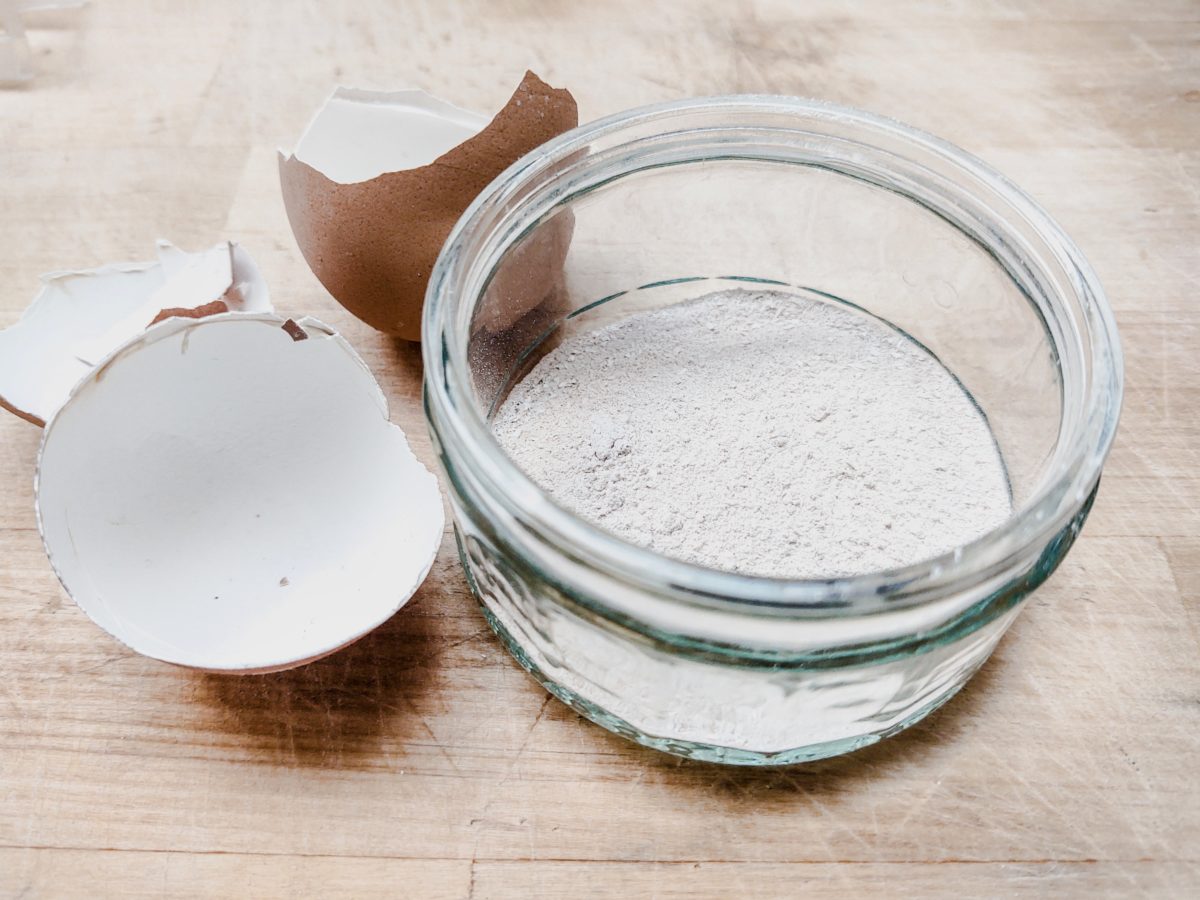 The Many Uses Of Eggshells For Dogs Naturalistic Hound