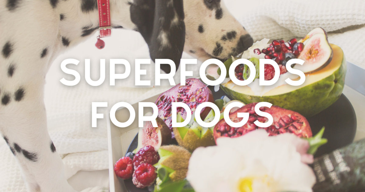 SuperFoods For Your Dog Naturalistic Hound