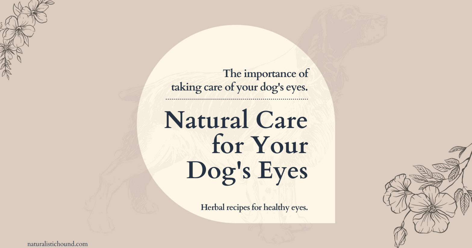 Natural_Eye_Care_For_Your_Dog_Eyes